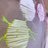 RuffleRuffle_'s profile image