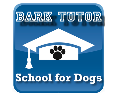 A dog training school like none other!