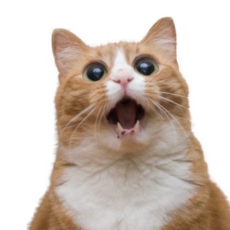 PisarAgency's profile picture. Писарь - это тот, кто пишет. Вместо вас