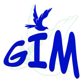 Generation impact ministries is a youth initiative which was began in march 2009.