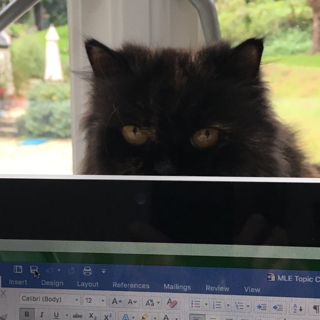 Gaynor Whyles Profile