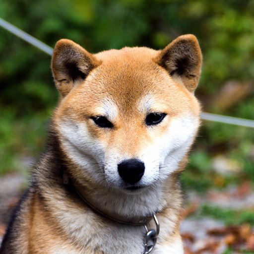 geefunato's profile picture. 岩手県大船渡市にあるIT系シェアハウスです。