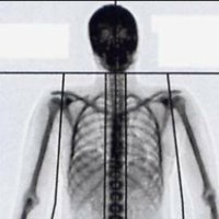 NotHereMcAuliflower (@mcauliflower) 's Twitter Profile