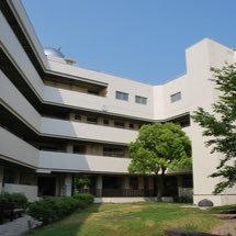 鳴門 教育 大学