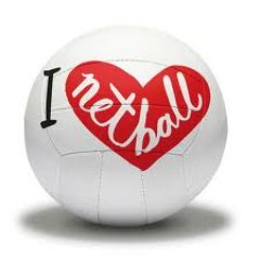 Netball equality & inclusion, community interest company. Working and campaigning to ensure netball is safe and fair.