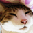 wwwdomdom's profile image