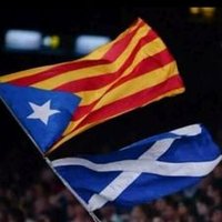 james mcdonald (@jimmyforindy) 's Twitter Profile