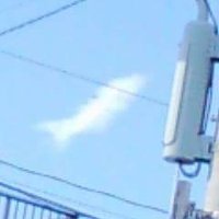 空飛ぶ魚(@unknown0144) 's Twitter Profile Photo