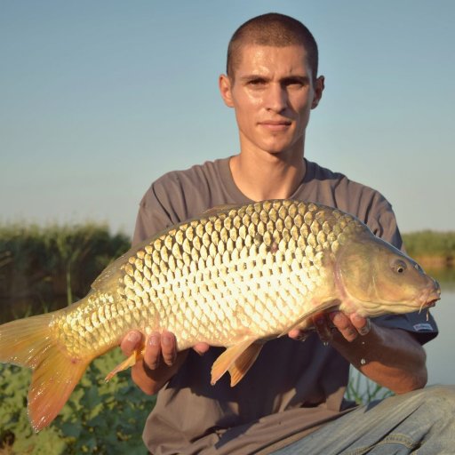 50gameGML's profile picture. 