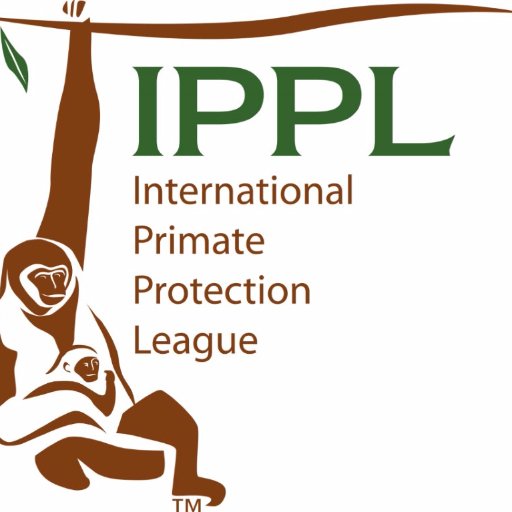 The International Primate Protection League is a non-profit that battles primate abuse worldwide and runs a gibbon sanctuary in SC. https://t.co/JRz07Wy5YJ…