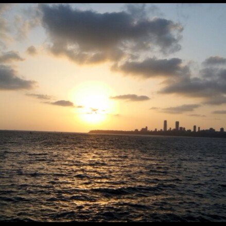 shareview81's profile picture. 