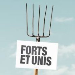elboucanos83140's profile picture. la vie est un cadeau magnifique profitez de chaque instant le bonheur est quelque de chose de simple vivez a fond vos reves  vos projets