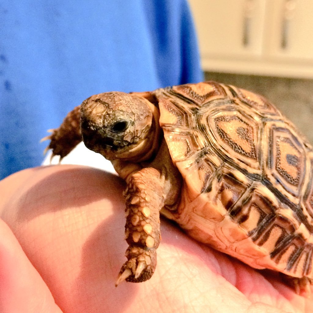 NodwellTia's profile picture. 