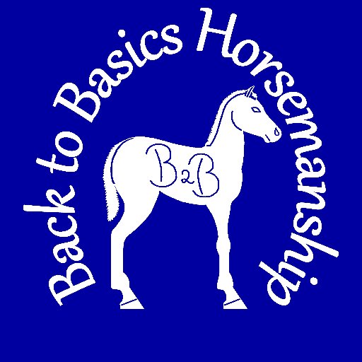 Mobile Horse training: focus on groundwork & basics,
Riding Lesson: Primarily for kids and beginners, 
Equine Massage: Niagara Equissage System