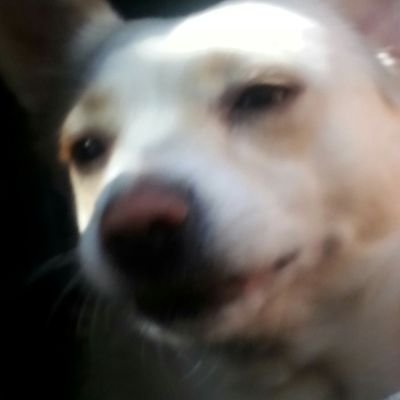 's personal twitter for RT+whatever else; 18+