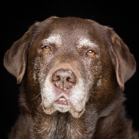 Vesna Kirby (@veskirby) 's Twitter Profile