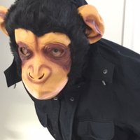 Bankie (@exposegrg) 's Twitter Profile
