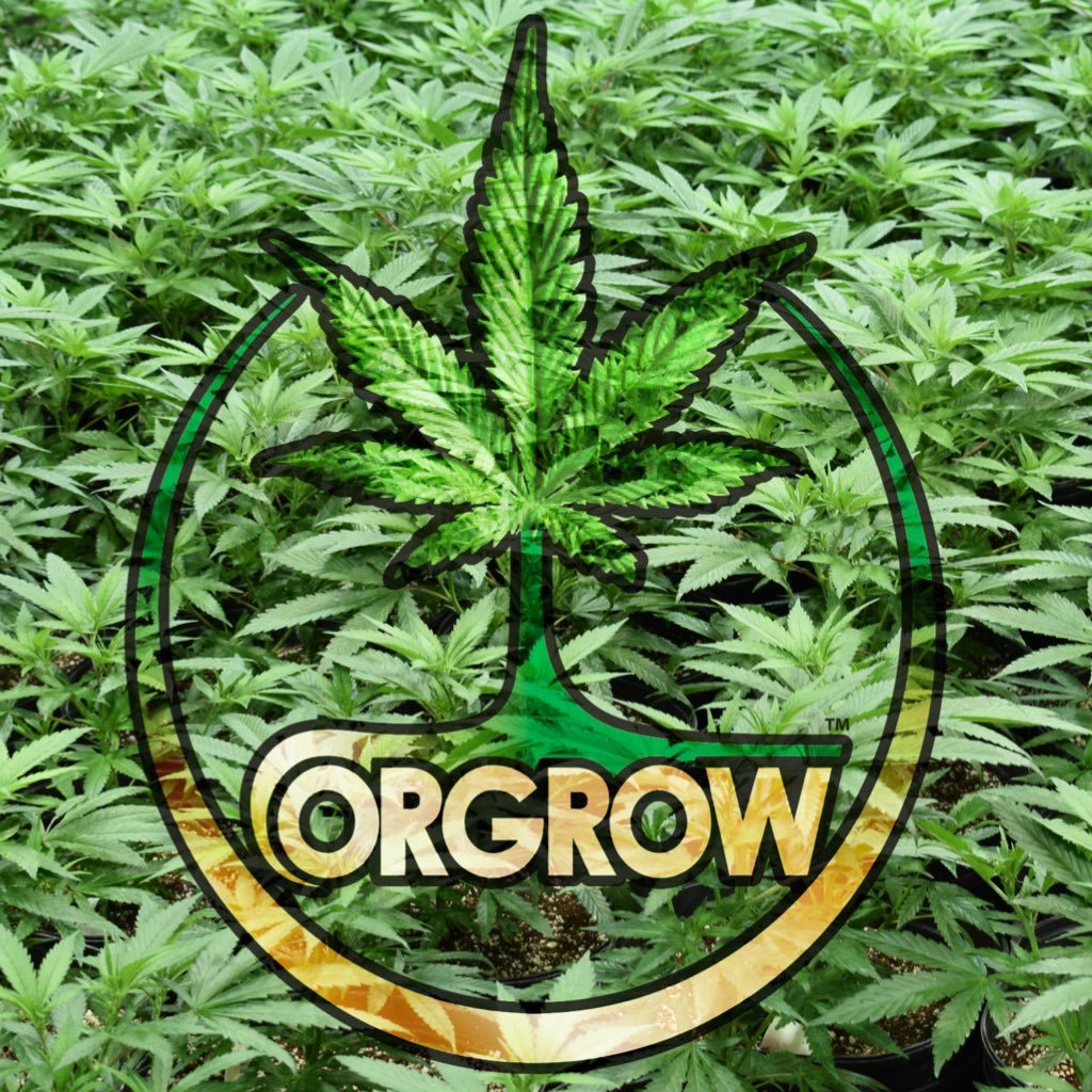 This product has intoxicating effects and may be habit forming; This product may be unlawful outside of Washington state. Inquiries at mario@orgrow.org