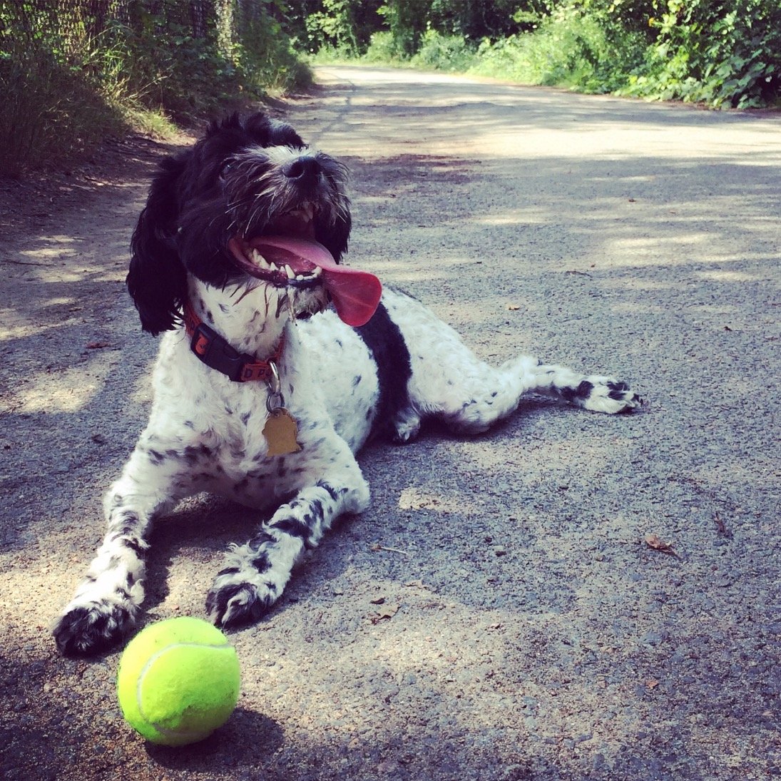 goldeng33's profile picture. 