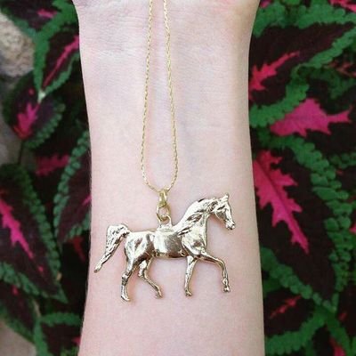 MarioTe60583581's profile picture. 