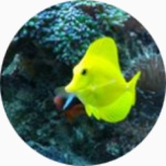 hinojos_tom's profile picture. 