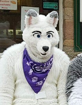 Walker60956733's profile picture. A young fluff butt that gets excited to easy, loves gaming and meeting new people, always out and about and listening to music