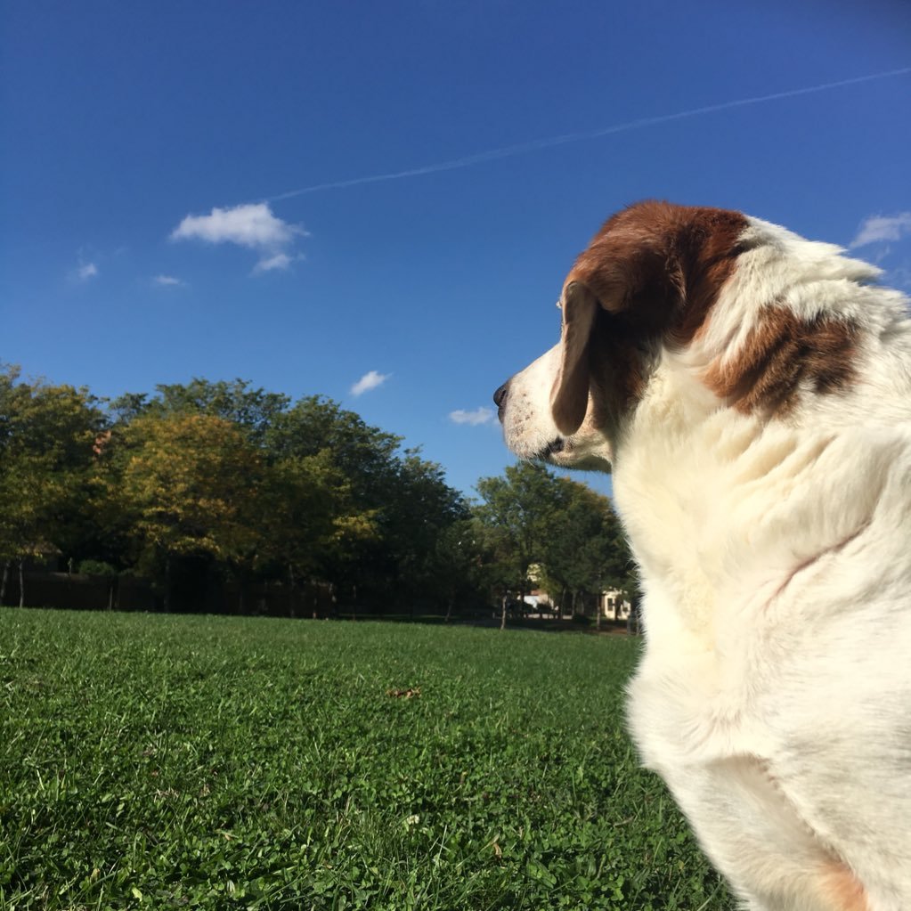 donhanzel's profile picture. Member of Magnetawan First Nations