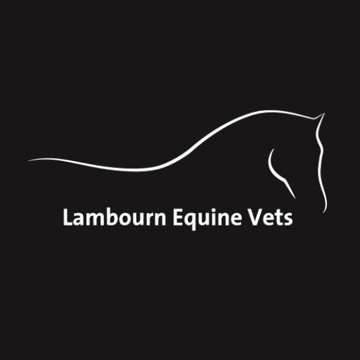 Lambourn Equine Vets