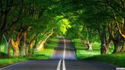 AlFiruzan's profile picture. İnsan üc beş damla kan ırmak üc beş damla su bir hayata çattik ki hayata kurmuş pusu geldi ölümlü yalan gitti ölümsüz gerçek siz hayat süren leşler sizi kim ...