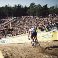Mark Adams (@gomezadams64) 's Twitter Profile