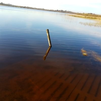 lazk's profile picture. Jack of all trades and master of few. Wrote a few songs, built a few houses and was a milkman for express dairies in London.......Living in lovely Leitrim...