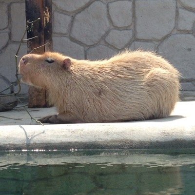 rCbAUebTiNQKmiF's profile picture. 趣味/HANABI/ハナハナ/ダーツ/音楽鑑賞/ボウリング/寝ること/呑み/ドライブ/毎日をとりあえず過ごしてます！