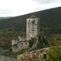 Nina M (@dereenamariam) 's Twitter Profile