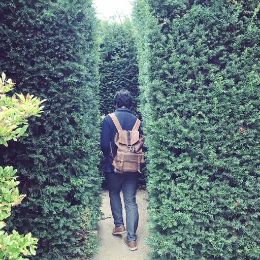 social psychologist @ JAIST, interested in cultural evolution, technological innovation, social norms, religion, folktales, ecology and culture.