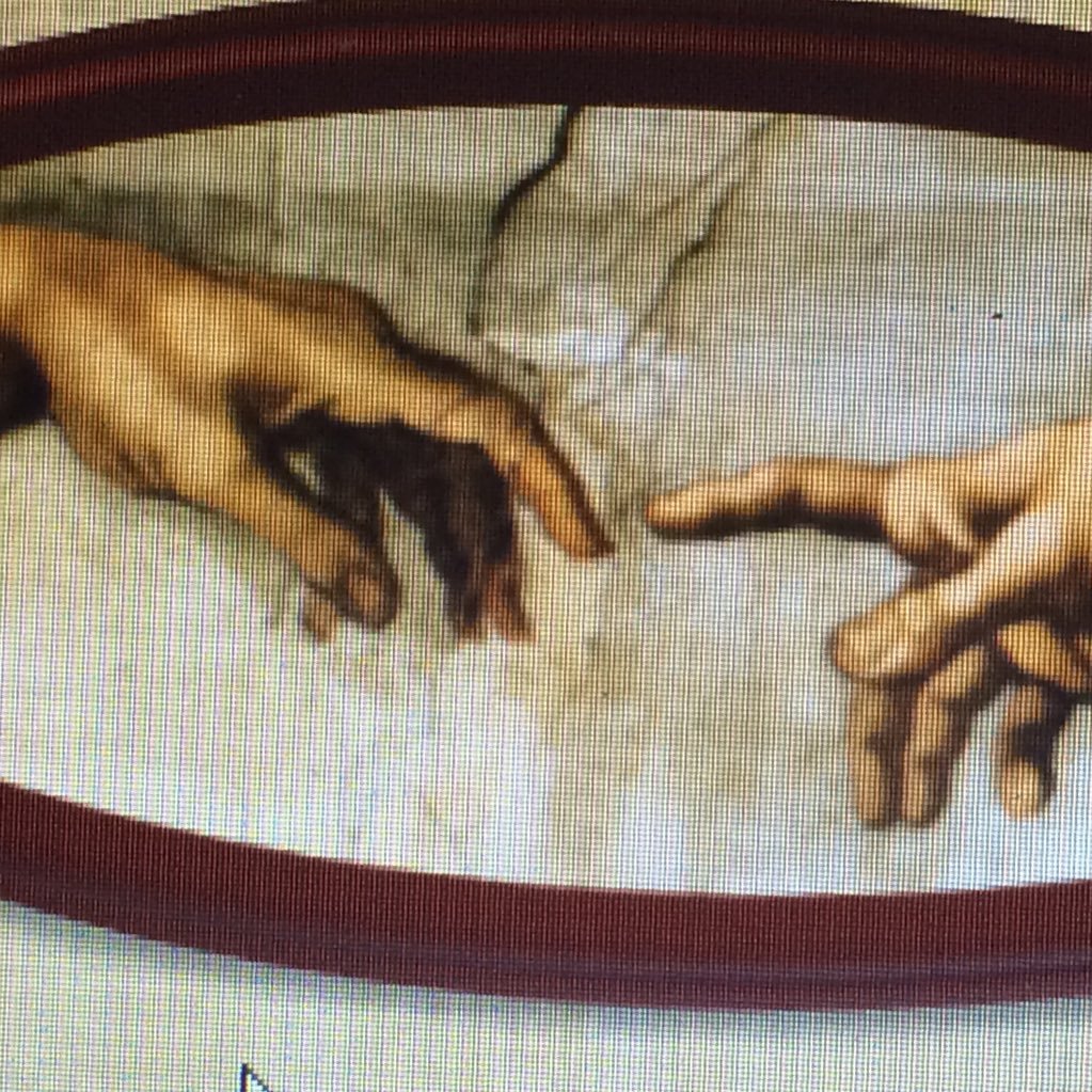 careershead's profile picture. Guidance Counsellor and Education consultant