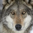 John Worthen - @JohnWorthen18 - Twitter