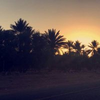 اليوسف (@yy2558636) 's Twitter Profile Photo اليوسف (@yy2558636) 's Twitter Profile Photo