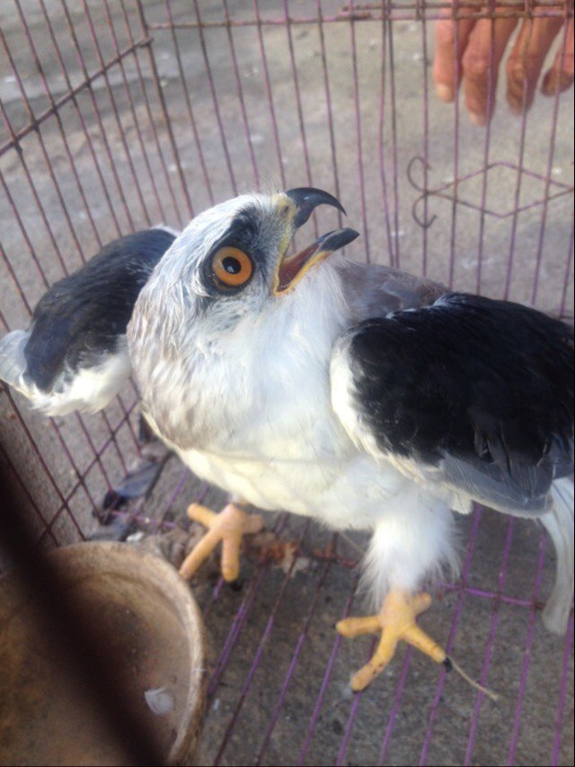 xQ354bZrJYRAtDk's profile picture. 