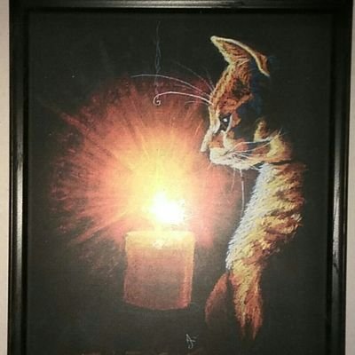 InsomniaKatt13's profile picture. I like cats.