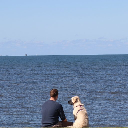 Songwriter/musician/audio engineer/geologist..Enjoy storytellers, peace.. and my dogs.