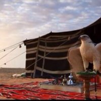 الكويت (@fmjuxugdj59nxwx) Twitter profile photo