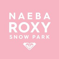 ROXYSNOWPARK (@roxysnowpark) Twitter profile photo