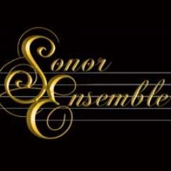 SonorEnsemble on perustettu v. 2002. Kuoroa johtaa Hanna Remes.  Kamarikuoron musiikillisena tavoitteena on kuulas ja yhtenäinen sointi.