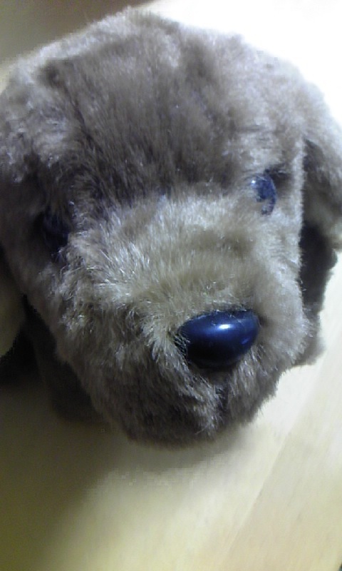 saerinn's profile picture. 雑貨やカフェが好き☆ 歴史を探りながらの神社仏閣参拝や、地方への旅行も好き