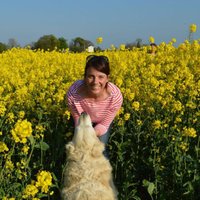 jenny banks (@banksjbank) Twitter profile photo