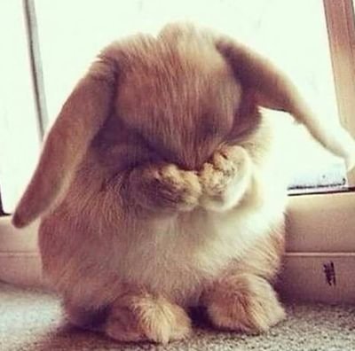 Aarya200627's profile picture. egg.exe