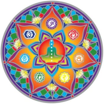 Holistic supplies, yoga and meditation tools, vegan friendly and cruelty free incense, fragrances, and body care products. Beautiful Homeware and Giftware.