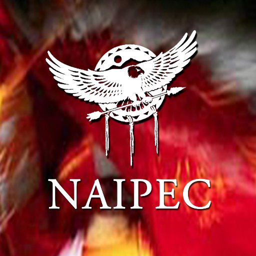 The Native American Intellectual Property Enterprise Council is a non-profit organization that supports Native American entrepreneurs, inventors, & businesses.