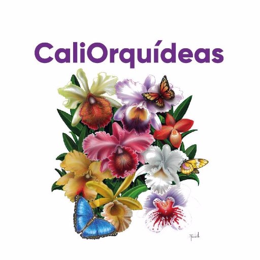 La Asociación Vallecaucana de Orquideología promoviendo la difusión y el conocimiento acerca de las Orquídeas en Colombia y el mundo