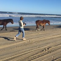 Yvette Torell (@yvettetorell) 's Twitter Profile